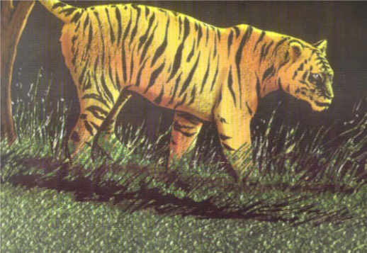 092. &Rho;ί&nu;&gamma;&kappa;&omicron;&upsilon; (04) - &Eta; &alpha;&nu;&theta;&rho;&omega;&pi;&omicron;&phi;ά&gamma;&omicron;&sigmaf; &tau;ί&gamma;&rho;&eta;&sigmaf;  Vorschau