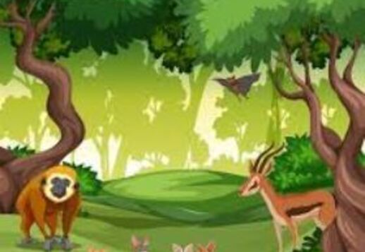 164. Το μυστικό του δάσους (2) Vorschau